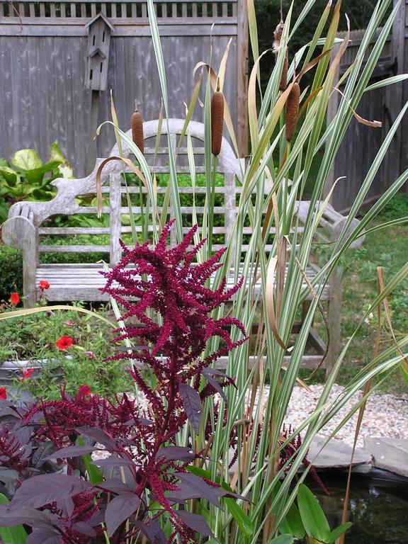 Shorecrest Bed And Breakfast Southold Exterior foto